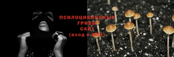 2c-b Абинск
