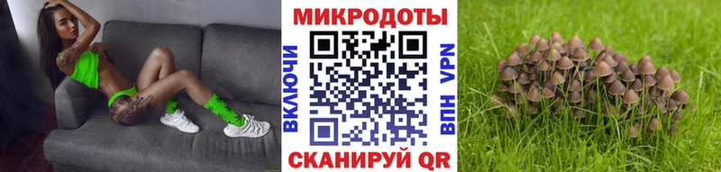 Псилоцибиновые грибы Magic Shrooms  Новотроицк 